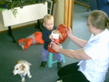 Tivoli Luke opening bear.jpg